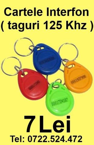 taguri_7_lei.jpg